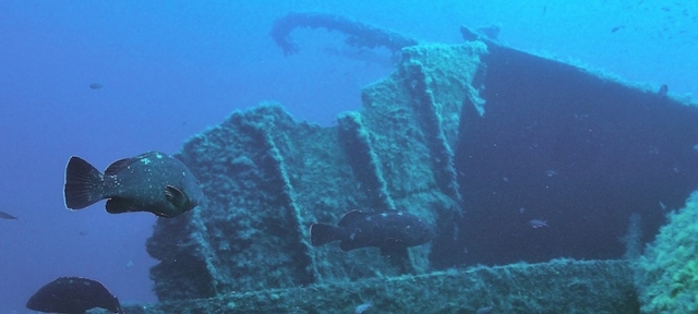  Naufragios de buceo Villasimius Cerdeña 